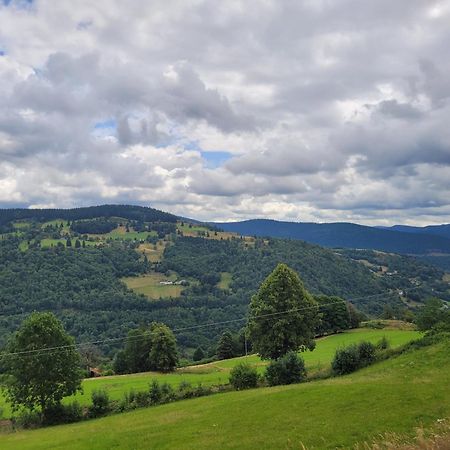 Appartement Chaleureux Au Coeur Des Hautes Vosges Ventron Exterior foto